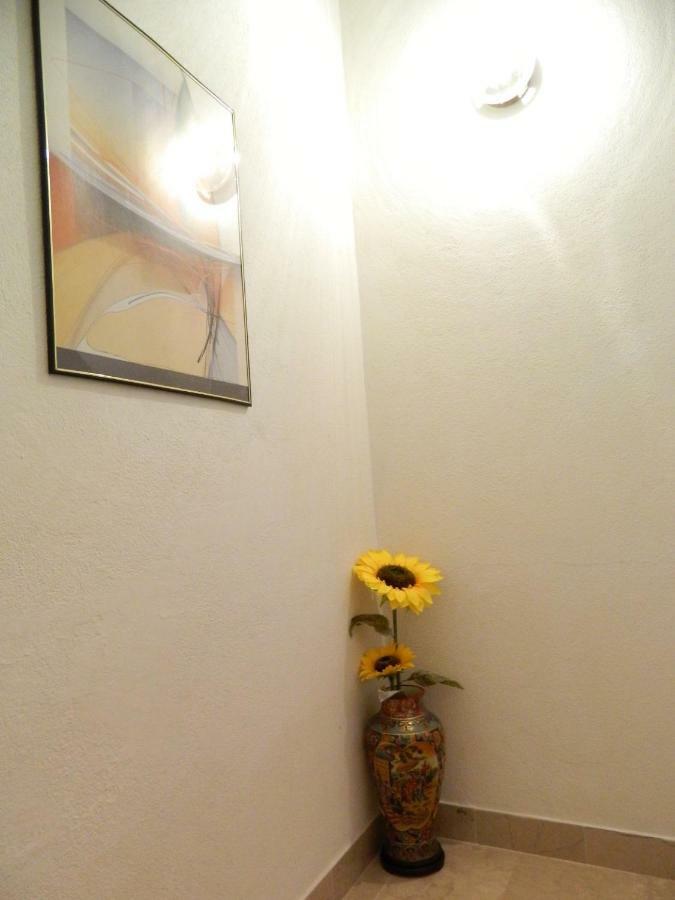 Ema Apartment *